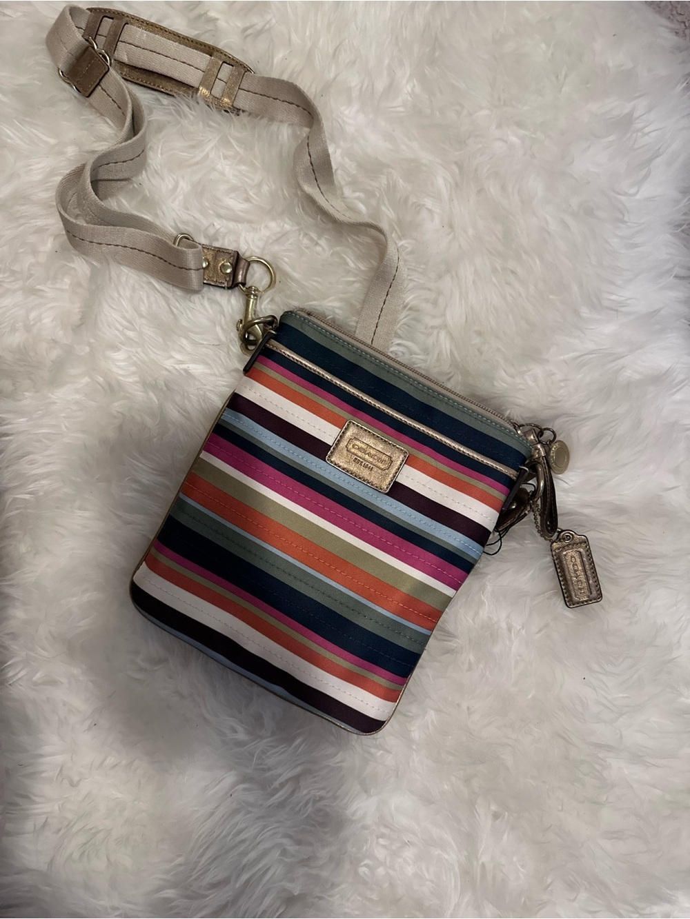 Coach Striped Crossbody Bag - Multicolor